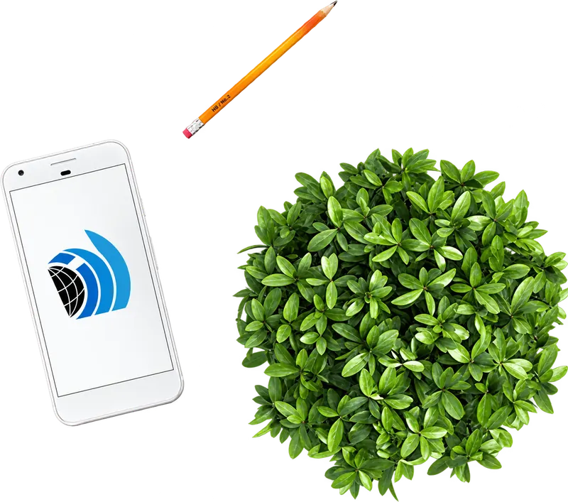 Smartphone showing the DJM Global logo beside a green plant