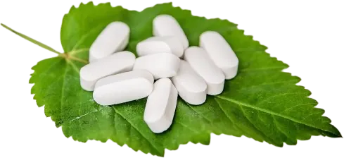 White herbal tablets resting on a green leaf